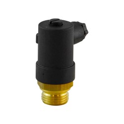 Fixed thermostat - 60°C - 1/2" - NF