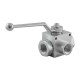 Manual valve - 3V - 3/4" - PN 400 - in L