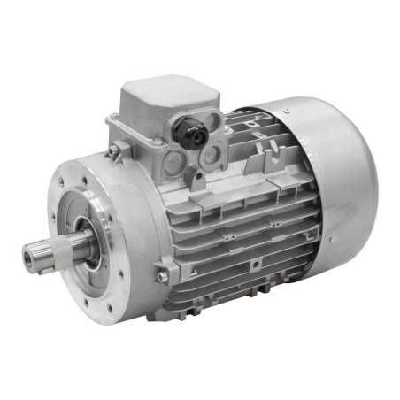MOT 2.2Kw TRI TYPE 90 4P B14 IE2 90LP4 B14 - Components