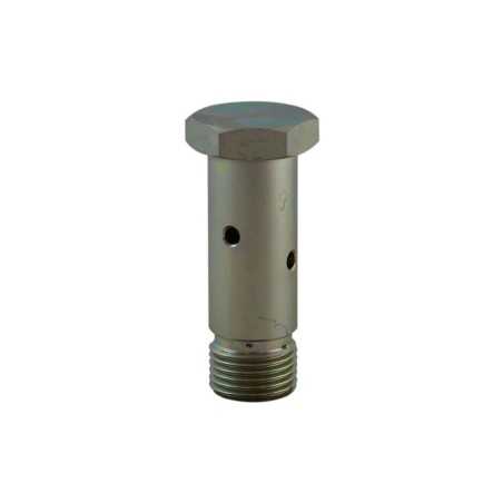 Vis banjo 1/2 pour BP110-BP113 FM/VK14 - Clapets hydrauliques