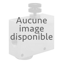 Régulateur 2 voies 3/8" 4 à 18l/mn