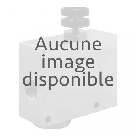 Régulateur 2 voies 3/8" 4 à 18l/mn