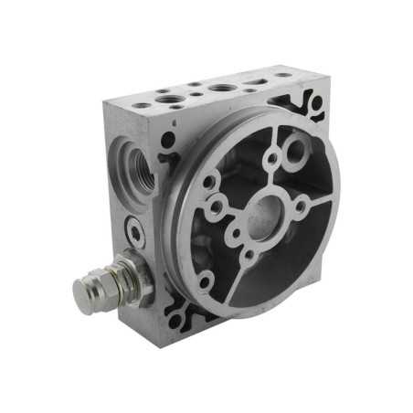 manifold M54-20  80/250B