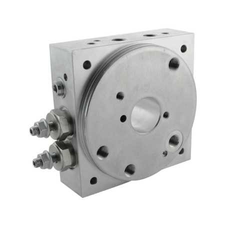 Collecteur 26-Z40-200B pompe double + prévoir joint - Collecteurs