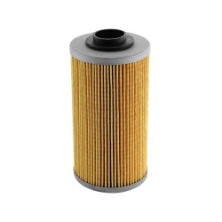 Cartouche filtration de 25µ pour filtre retour FREI15B5