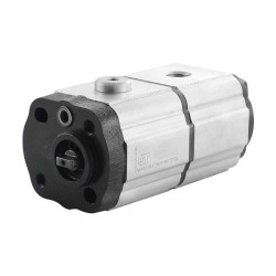 Dual gear pump 1+1 1.60+1.60cc rot.G br+3/8g screw - 12+12