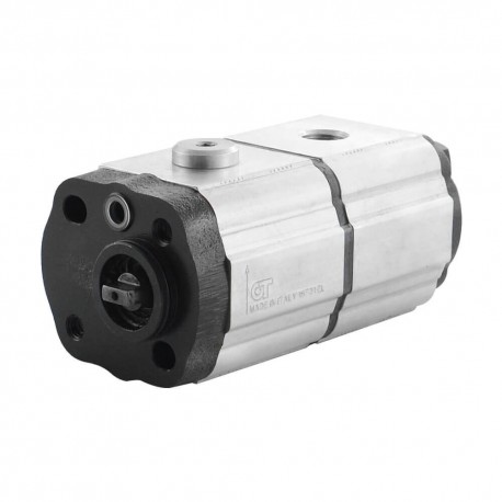 Dual gear pump 1+1 1.90+1.90cc rot.G br+3/8g screw - 13+13