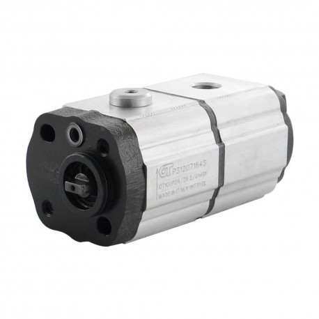 Dual gear pump 1+1 5.80+5.80cc rot.G br+3/8g screw - 19+19