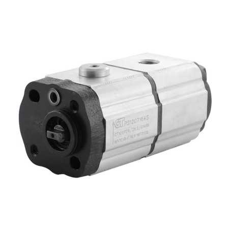 Dual gear pump 1+1 5.80+5.80cc rot.G br+3/8g screw - 19+19 - Gear pump - With flange