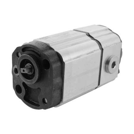 Pompe double groupe 1 arbre tournevis 7.60cc + 1.05cc