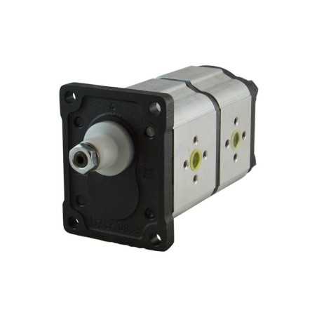 Dual gear pump group 2 - Gear pump - With flange