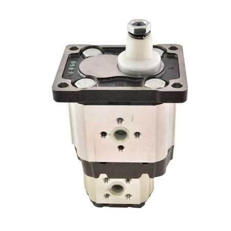 Pompe à engrenage 2+1 double 14.00+1.90cc rot.D br std italien con. 1/8 - Composants