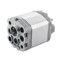 Single gear pump bidirectional 0.24cc - group 0.5