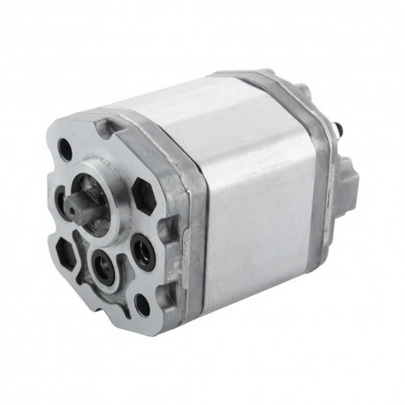 Single gear pumps group 0.5 screwdriver shaft