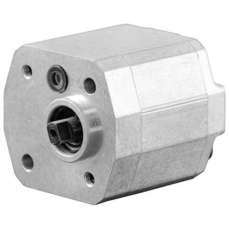 Single gear pump group 0.5 - Components - Front flange