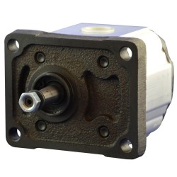 Single gear pump - group 1