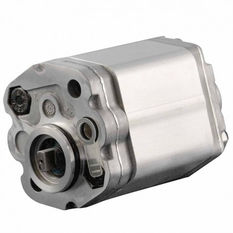 Single gear pump group 1 (special shaft)