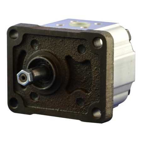 Single gear pump group 1 - Gear pump - With flange