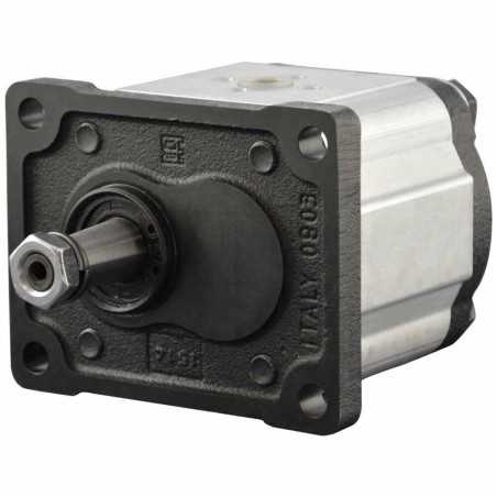 Single gear pump group 2 - Gear pump - With flange