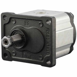 Single gear pump group 2 - Bosch Rexroth