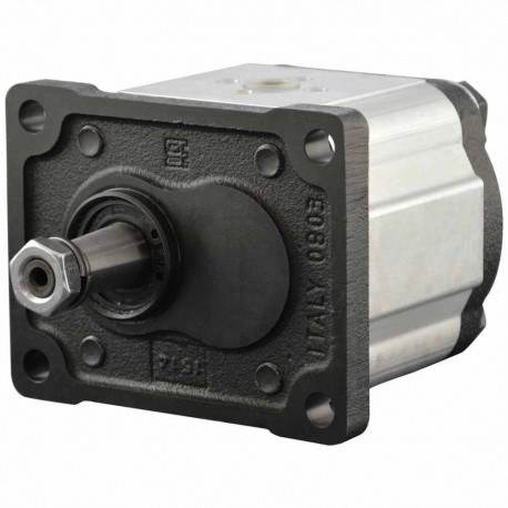 Single gear pump group 2