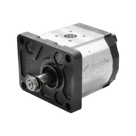 Single gear pump group 2 - Gear pump - With flange