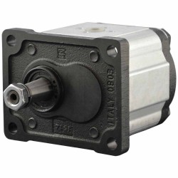 Single gear pump group 2