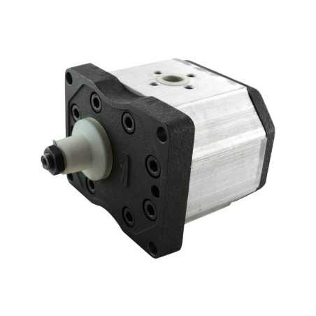 Single gear pump group 3 - Gear pump - With flange