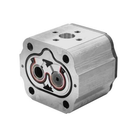 Second pump body - group 2 - Gear pump - With flange