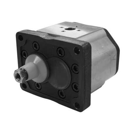 Second pump body - group 3 - Gear pump - With flange