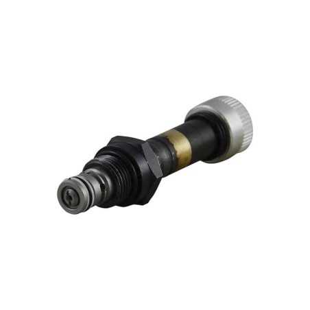 Elec 2x2  25l/mn NF DB DP CEI8 DT with manual override