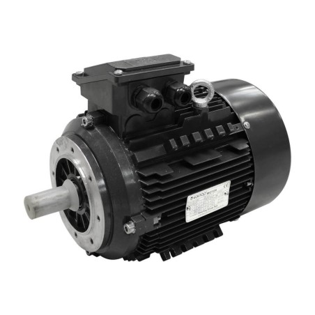MOT  4Kw TRI TYPE 112 2P B14                  MT2 112 M2          210 MOT4.02PTB14 IM#77508