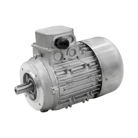MOT  0.75Kw TRI TYPE 80 4P MOT0.754PTB14 IM#77558