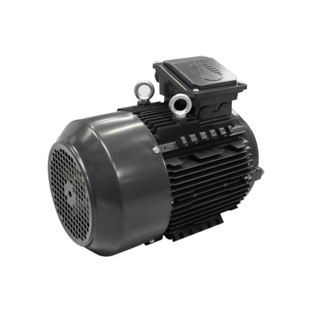MOT  4Kw TRI TYPE 112 4P B14      IE2   MT2-112 M4             410 MOT4.04PTB14 IM#77587