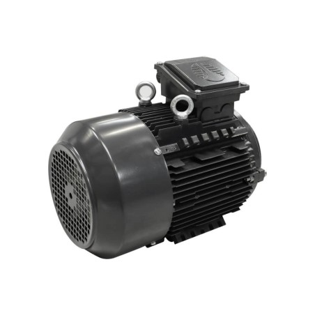 MOT  4Kw TRI TYPE 112 4P B5 230/400 IE2        MT2-112 M4         460 MOT4.04PTB5 IM#77625