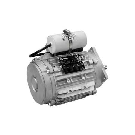 MOT  1.1Kw MONO TYPE 71 2P B5Q oil sistem Without Ventilation