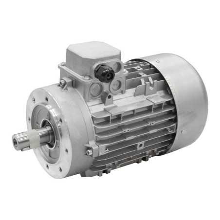 MOT 2.2Kw TRI TYPE 100 4P B14 100L4 B14 - Components