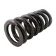 Spring VSD 350 15 to 50 bar black