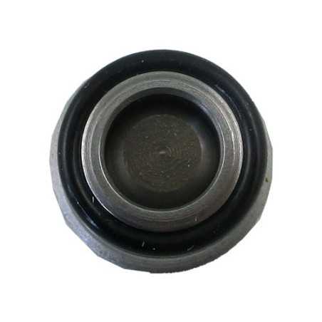 Check insert 3/8 50l/mn 350 bar