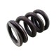Ressort 10 bar pour clapet OV25