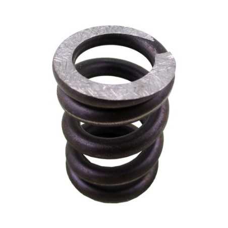 Ressort 10 bar pour clapet OV25