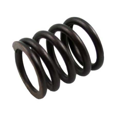 Ressort pour distributeur LC1Z