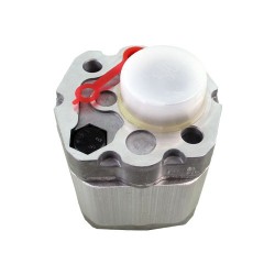 Single gear pump 0.5 0.45cc bidirectionnal screwdriver