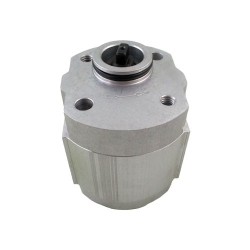 Pompe à engrenage 1 simple 1.25cc rot.G 3/8g tournevis - E11