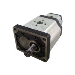 gear pump 3+2 dual 44.00+16.00cc rot.D br std italiancon.1/8