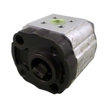 Pompe à engrenage 1 simple 3.80cc rot.G br tournevis - 16IM Ø32