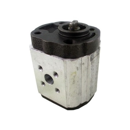 gear pump 1 simple7.60cc rot.G br screw - 20IM