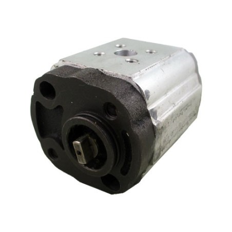 gear pump 1 simple7.60cc rot.G br screw - 20IM