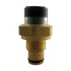 Indicateur de colmat. visuel dif. 5b V05 M20x150